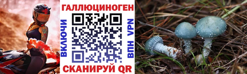 Галлюциногенные грибы MAGIC MUSHROOMS  Купить закладки  Покачи 