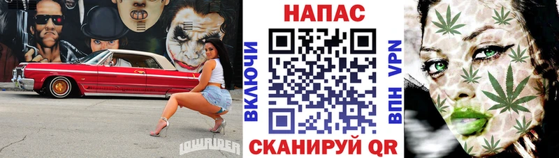Купить где  Покачи  Конопля индика 